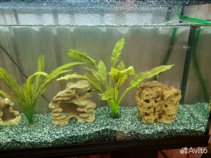 Аквариум