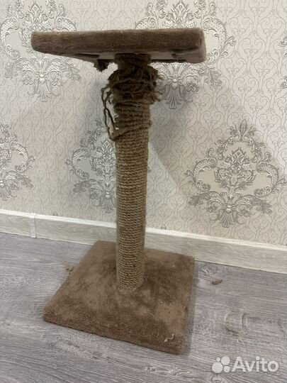 Когтеточка для кошек