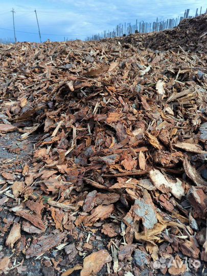 Кора сосны ы мешках 50л