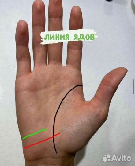 Хиромант,таро,обучение,магия,воск