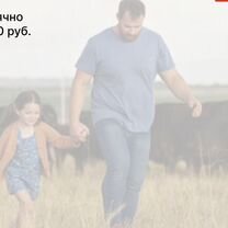 Сельскохозяйственное агентство в городе Санкт-Петербург, Санкт-Петербург