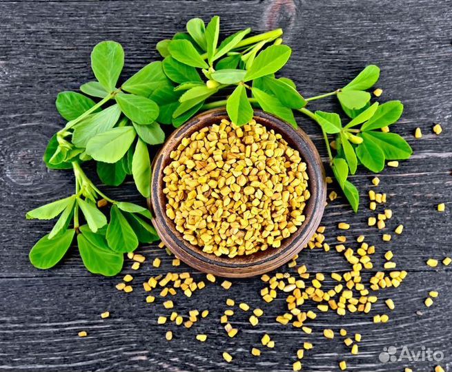 Пажитник цельный оптом с доставкой по РФ