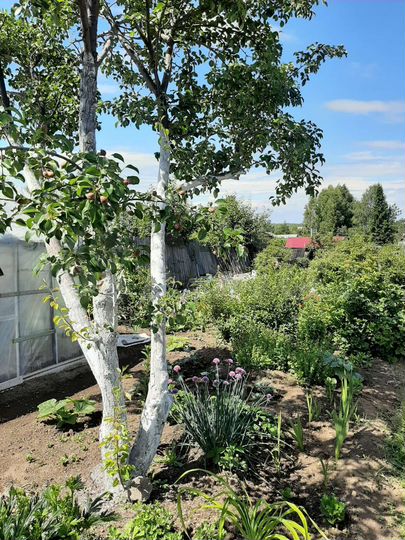 Дача 15 м² на участке 7,5 сот.