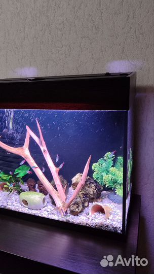 Аквариум 70л