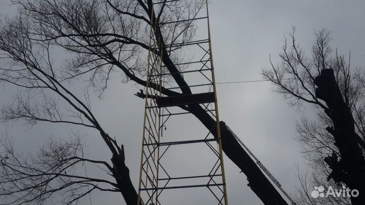 Расчистка участков