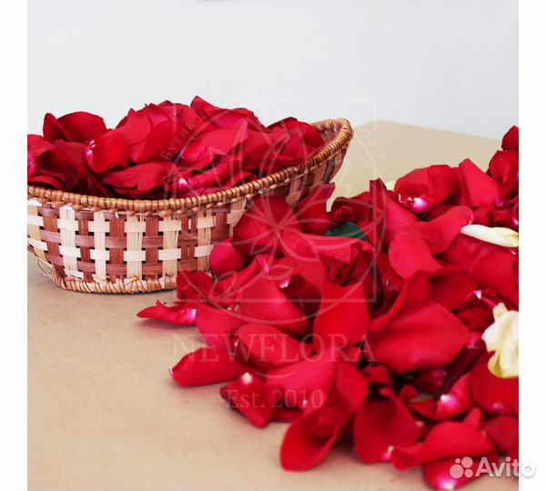 Лепестки роз