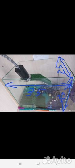 Аквариум
