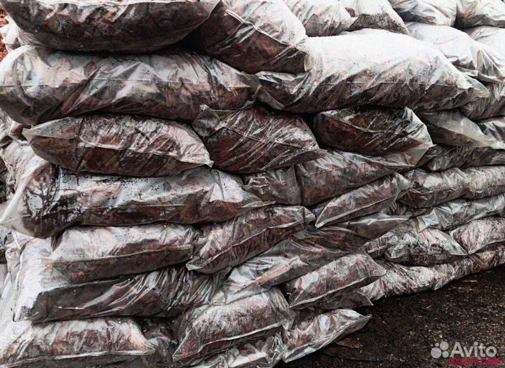 Лиственничная кора: натуральная защита