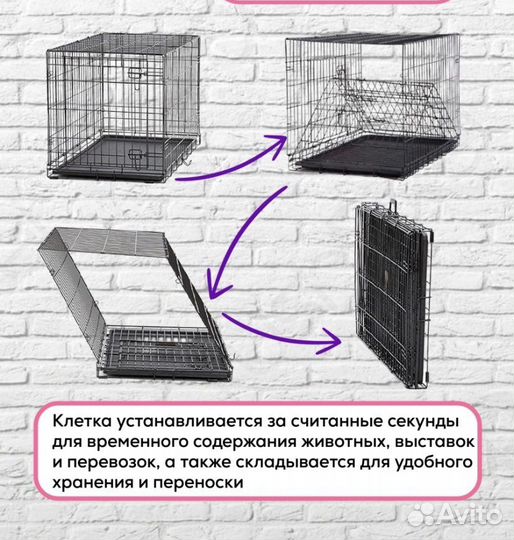 Аренда клетки для собак