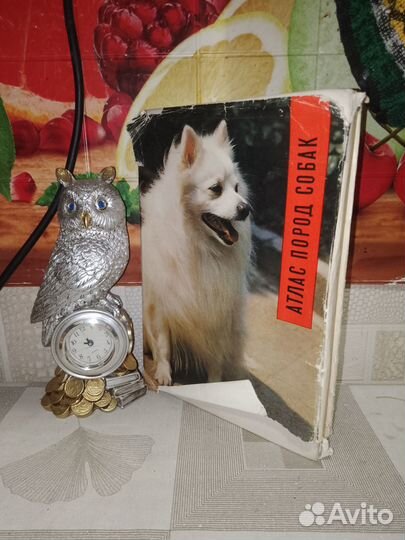 Атлас Пород собак, Найман Новотны