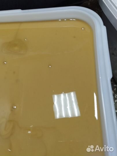 Мёд светлый