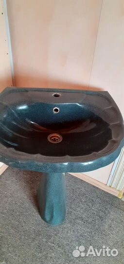 Раковина тюльпан