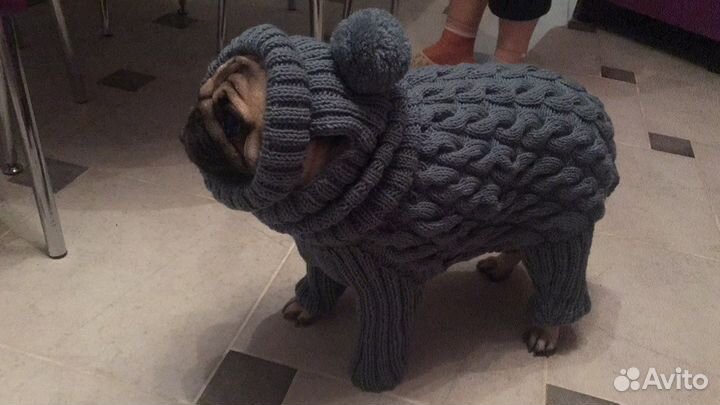 Вязанный костюм для собаки