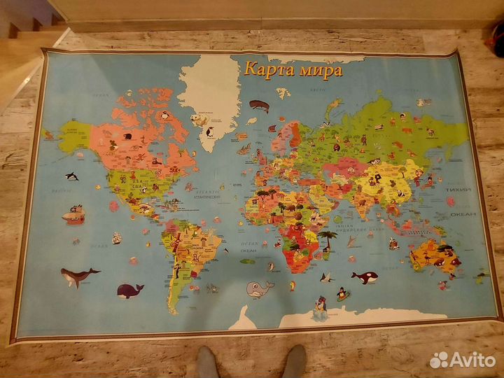 Детская Политическая карта мира