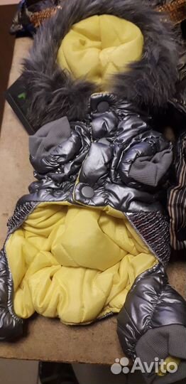 Зимний костюм для собак