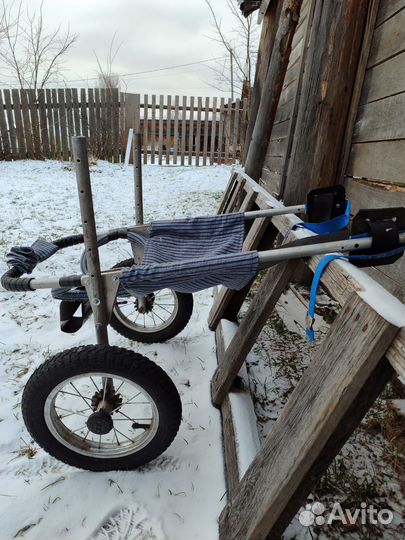 Коляска для собак-инвалидов с регулировкой