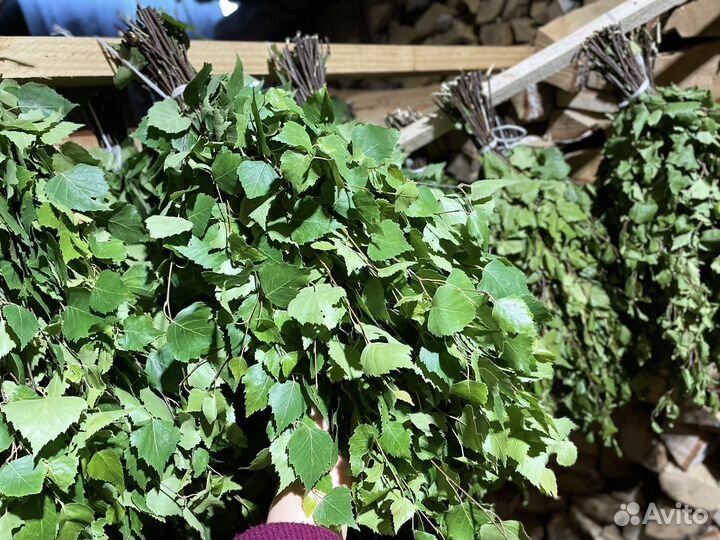 Березовые веники