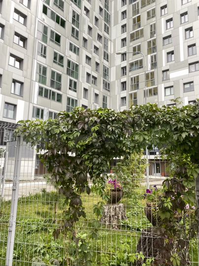 1-к. квартира, 50 м², 10/24 эт.