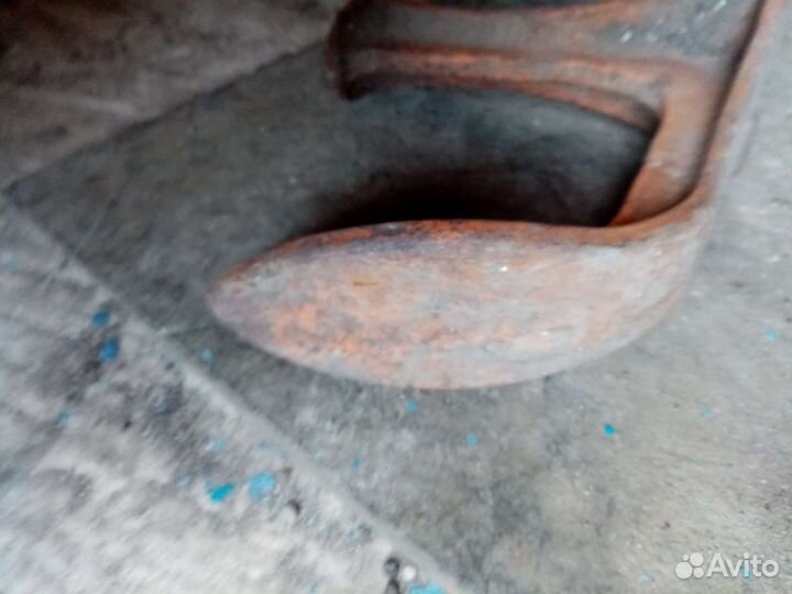 Лапа сапожная