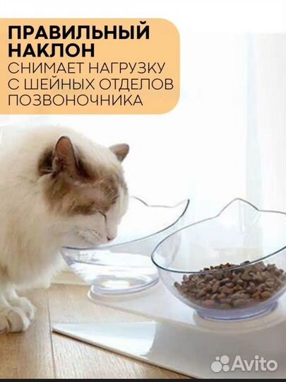 Миска для кошки новая