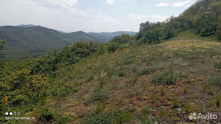 Конные прогулки