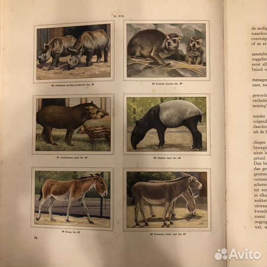 Книга старинная