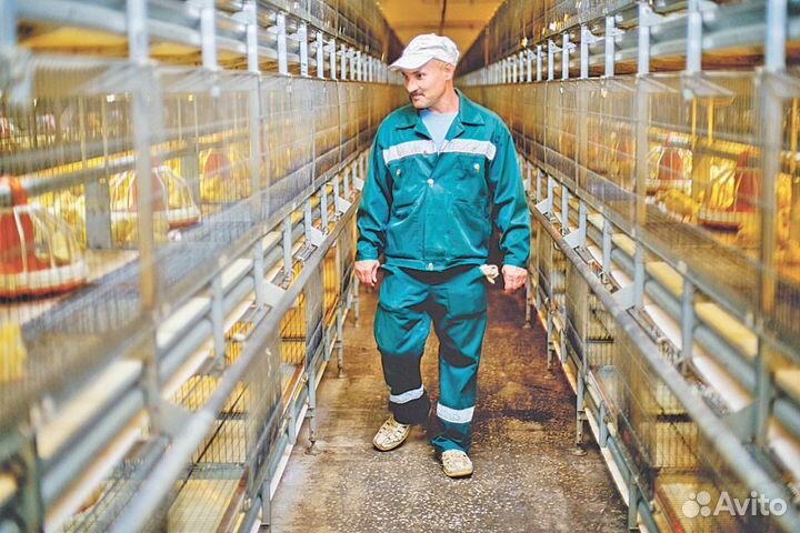 Разнорабочий-птицевод вахта Липецк 20 смен