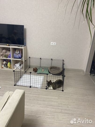Вольер для маленьких животных