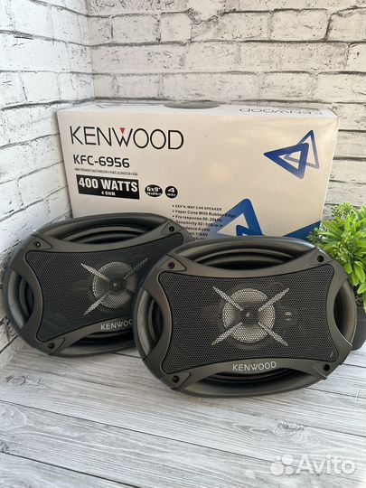 Динамики kenwood