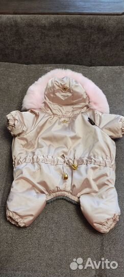 Зимний комбинезон для маленькой собаки