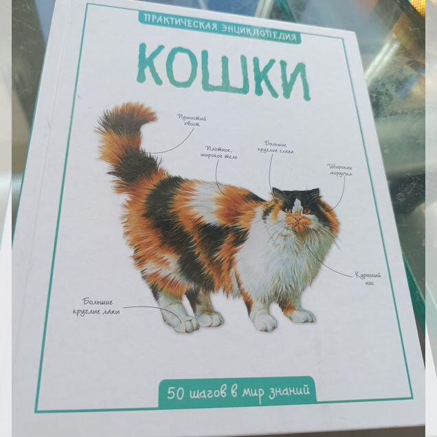 Книга-энциклопедия про кошек, новая в подарок