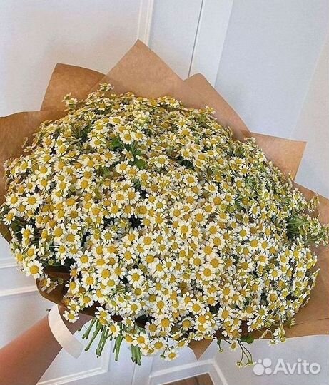 Ромашки Букет из ромашек доставка