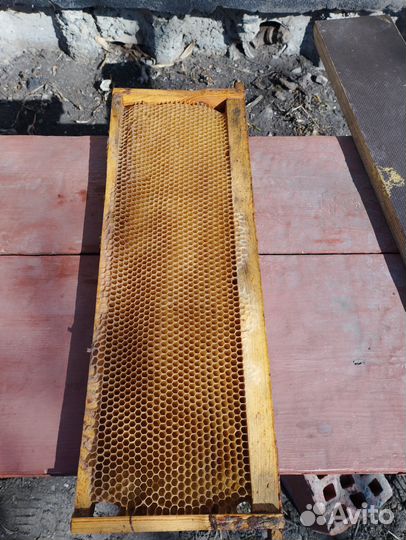 Рамки с сушью