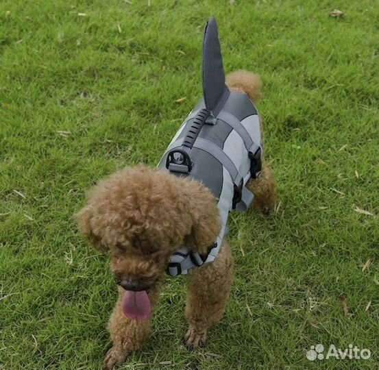 Спасательный жилет для собак