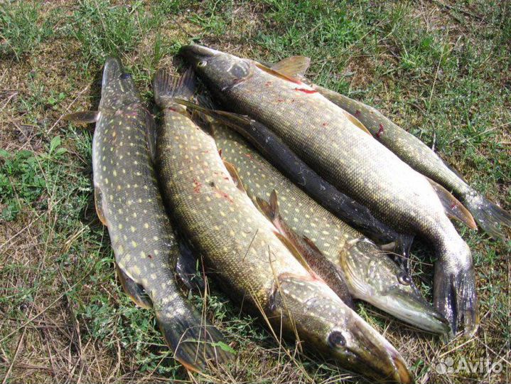 Поводок флюрокарбоновый