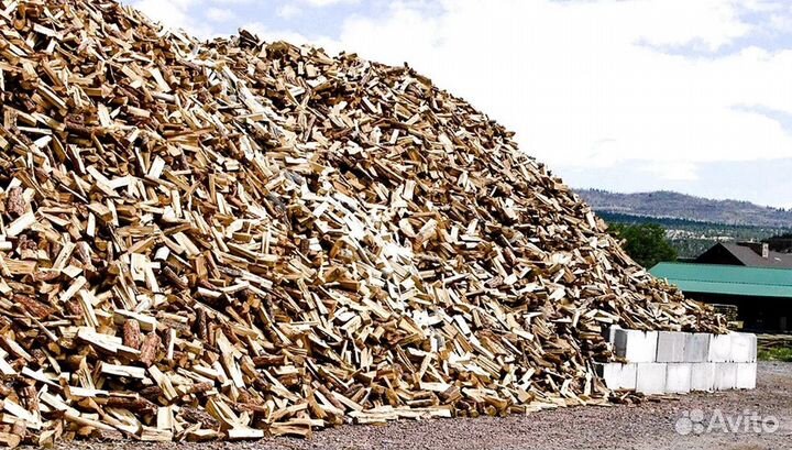 Подсушенные дрова