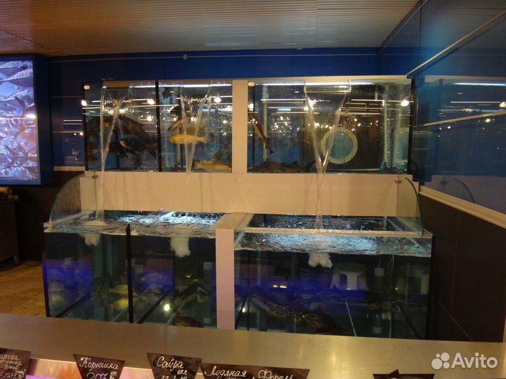 Аквариум для живой рыбы/моллюсков
