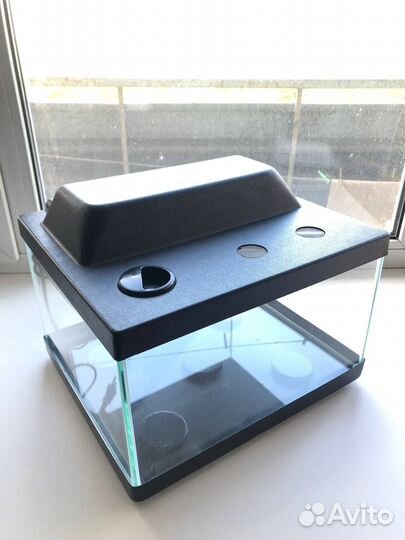 Аквариум-террариум. Новый