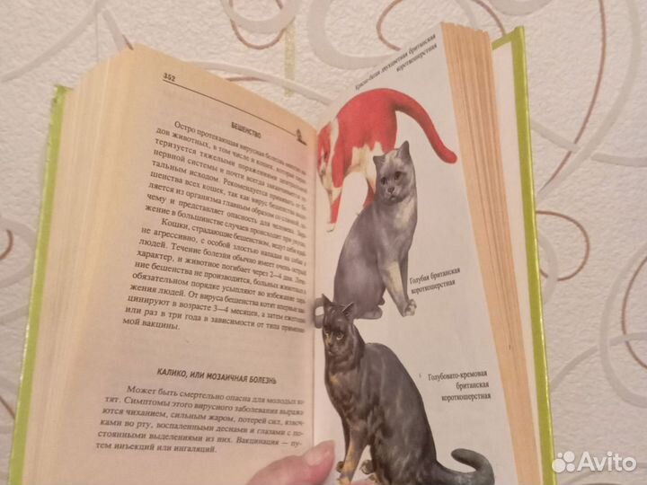 Книга о кошках