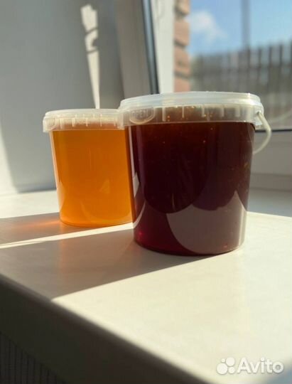 Мед Алтайское разнотравье оптом 2023