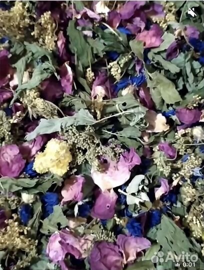 Сбор трав - Алтайской ключ