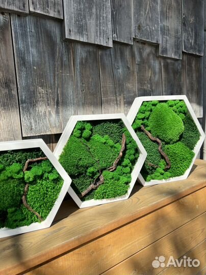 Панно-соты из стабилизированного мха