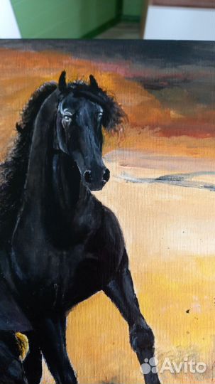 Картина для интерьера Чёрный конь в поле