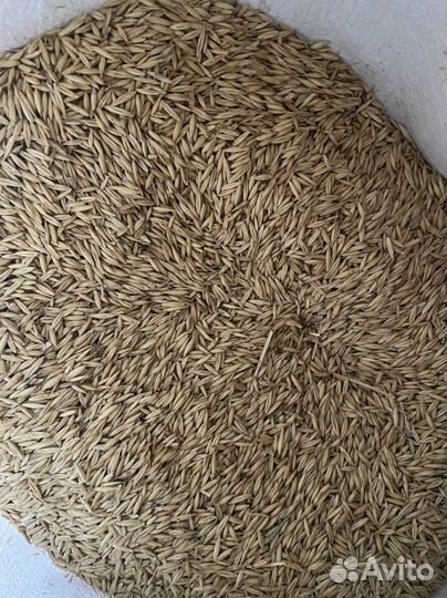 Комбикорм Для Птицы