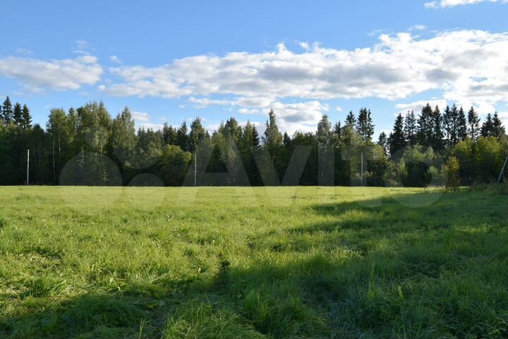 Участок 8,1 сот. (СНТ, ДНП)