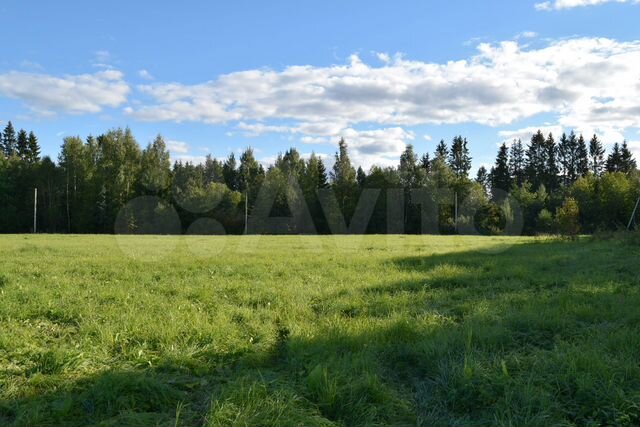 Участок 8,1 сот. (СНТ, ДНП)