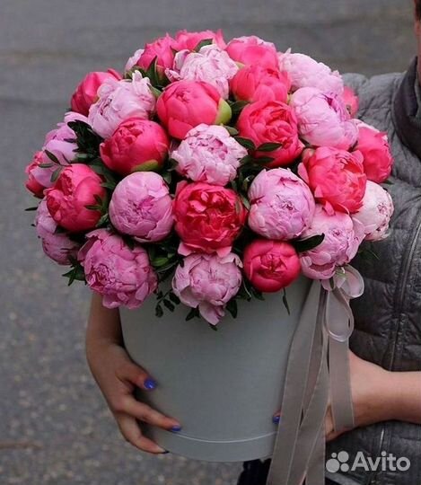 Пионы Букет пионов