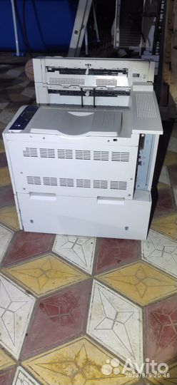 Xerox Phaser 5550 DN