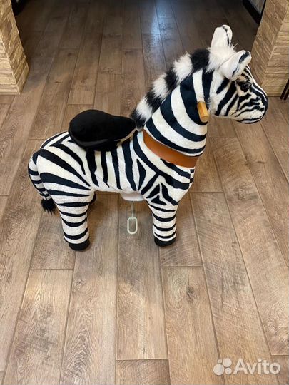 Пиницикл зебра