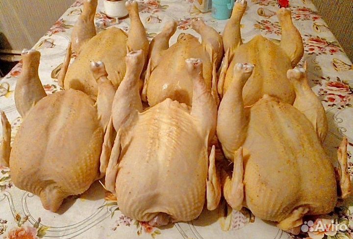 Курочки деревенские